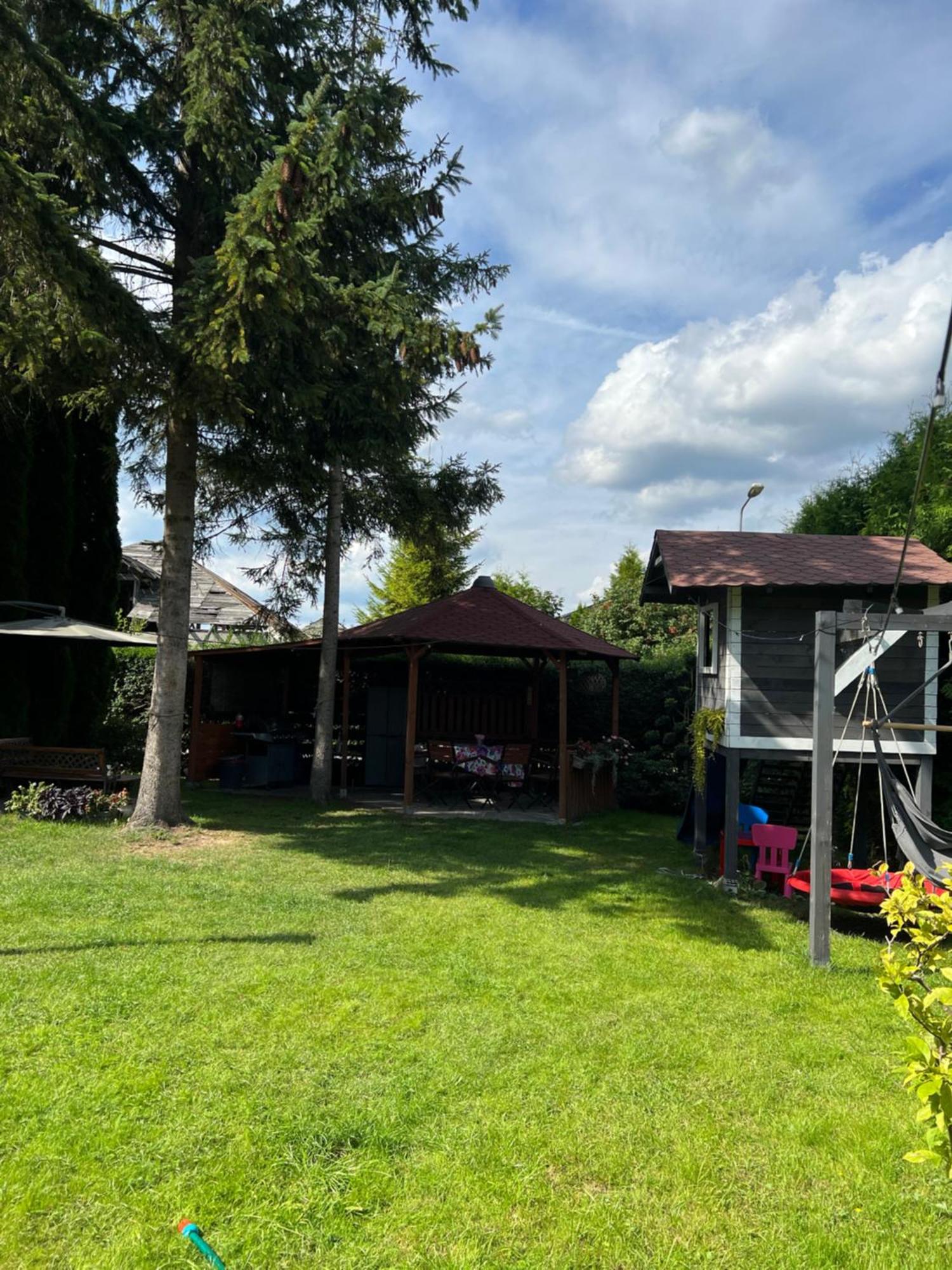 Orzeł
