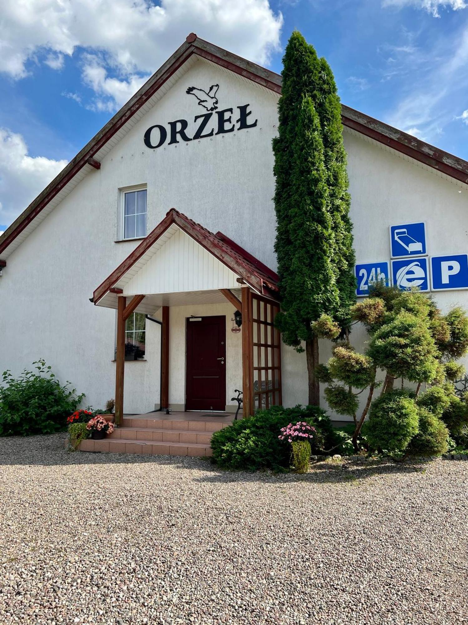 Orzeł